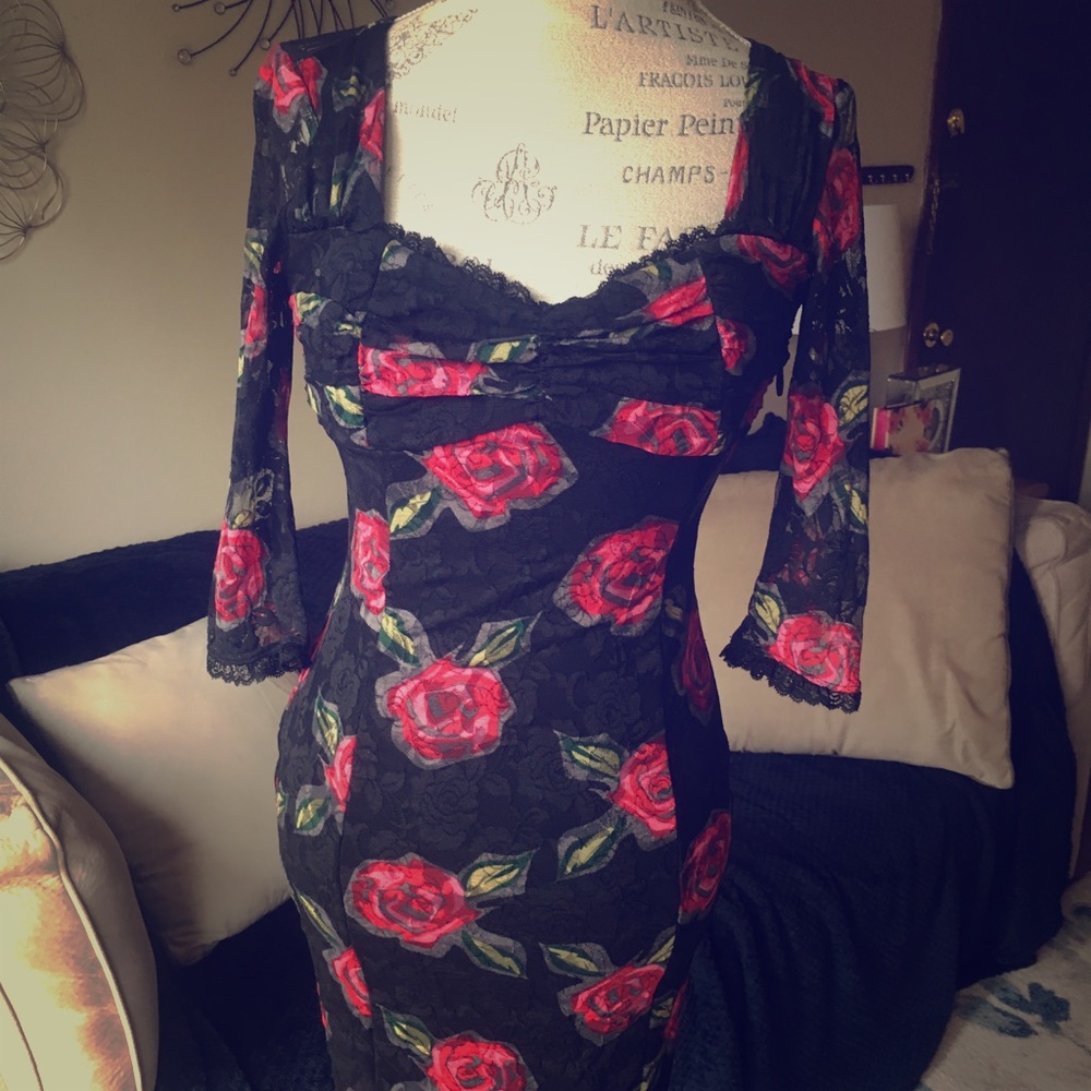 Rose and Lace Dress